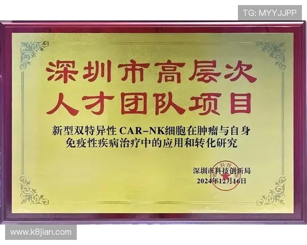 如何快速找到k8凯发官网入口，详细步骤帮助新手玩家轻松进入游戏世界